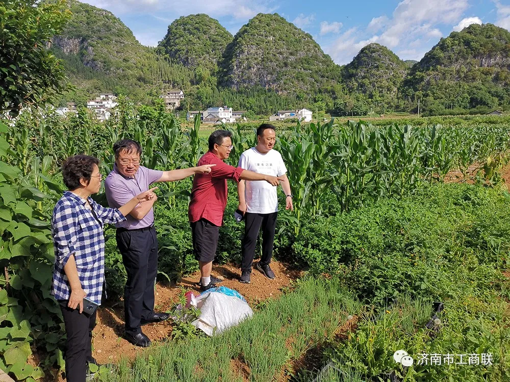 扶贫考察